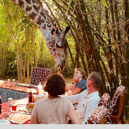 Giraffe bora bora park diani