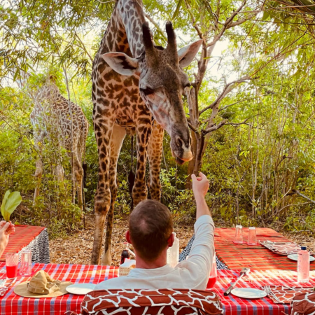 Giraffe bora bora park diani